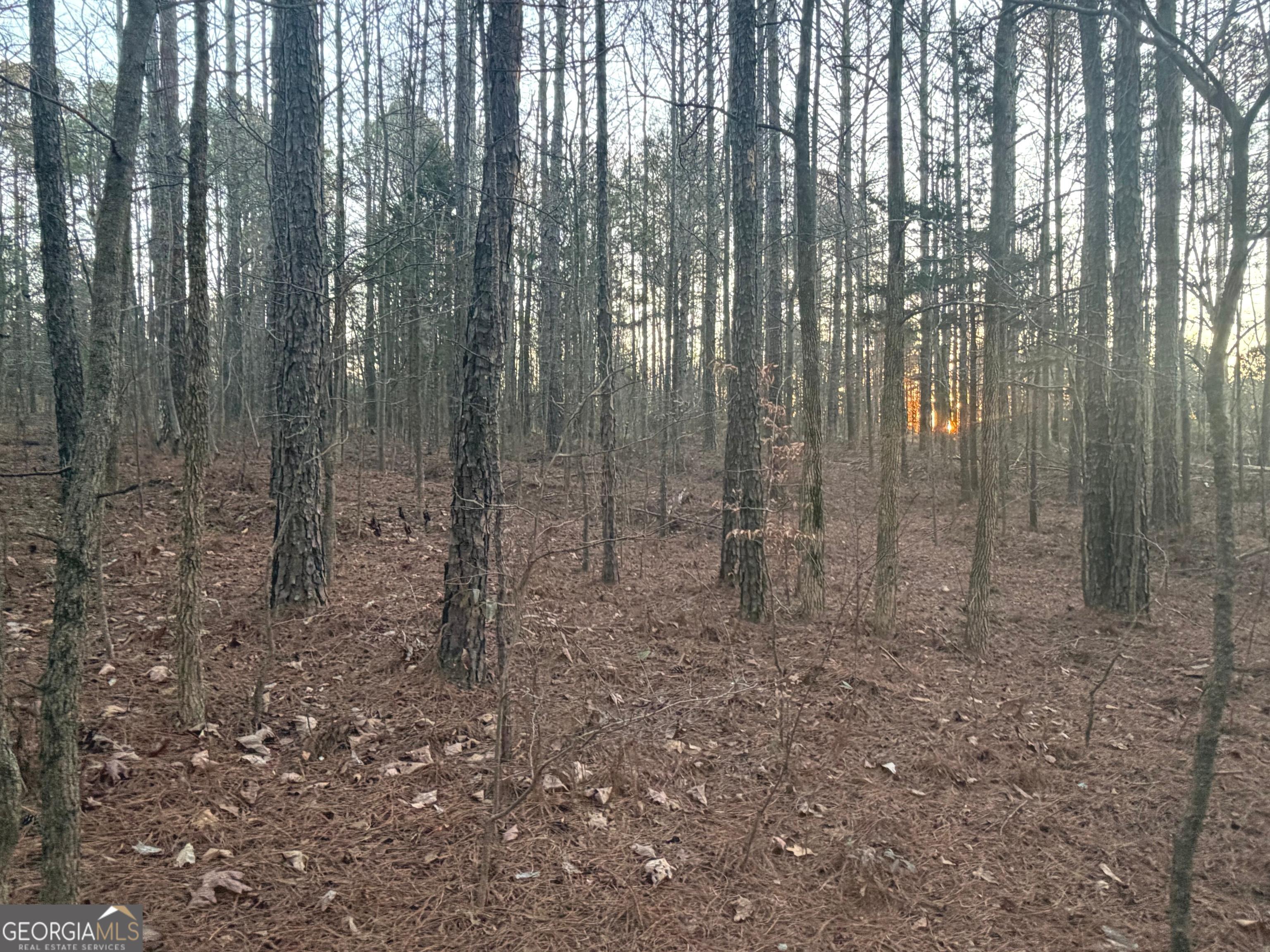 692 Hillcrest Road Bowdon, GA 30108 - Photo 2 of 23