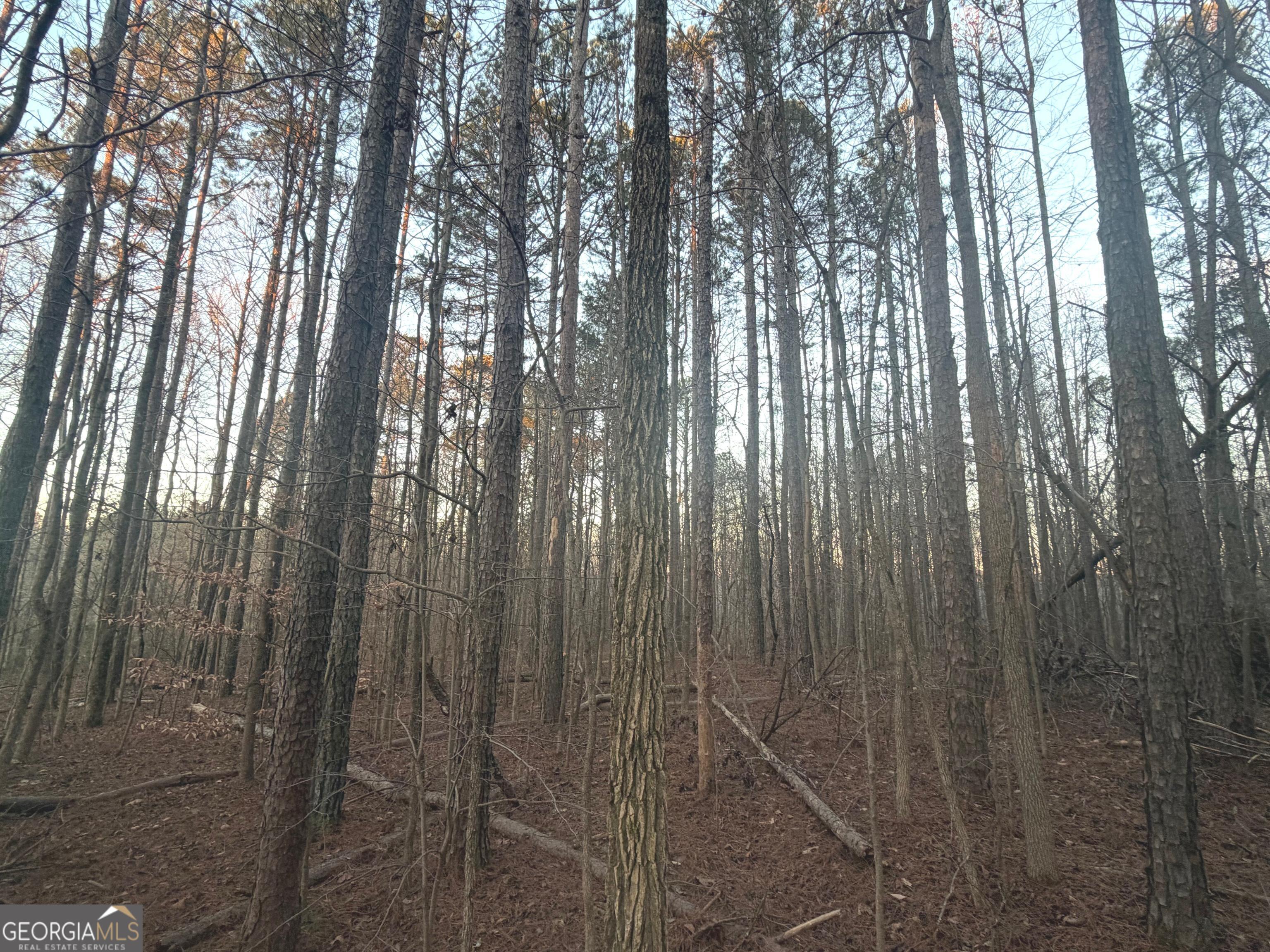 692 Hillcrest Road Bowdon, GA 30108 - Photo 3 of 23