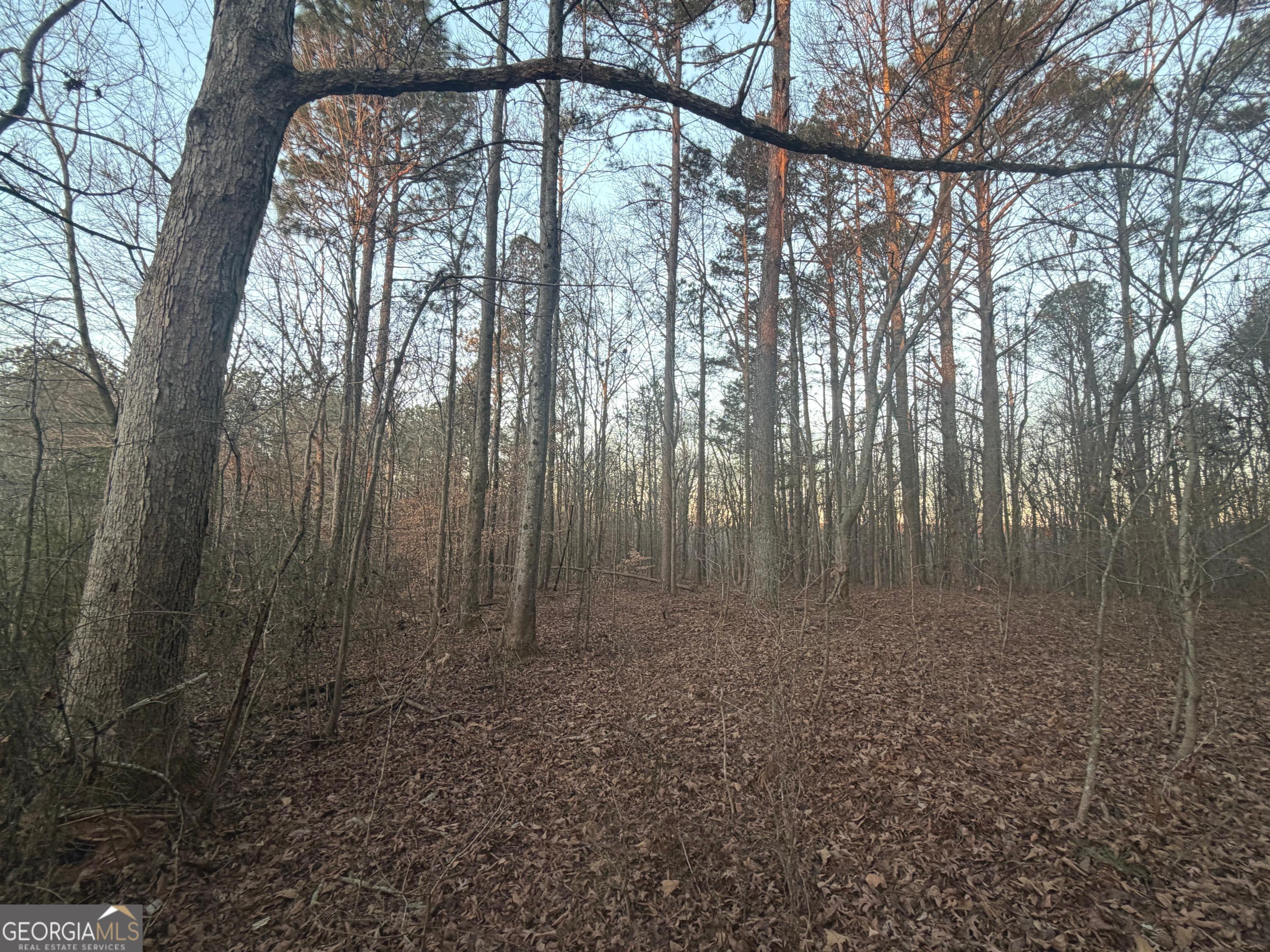 692 Hillcrest Road Bowdon, GA 30108 - Photo 7 of 23