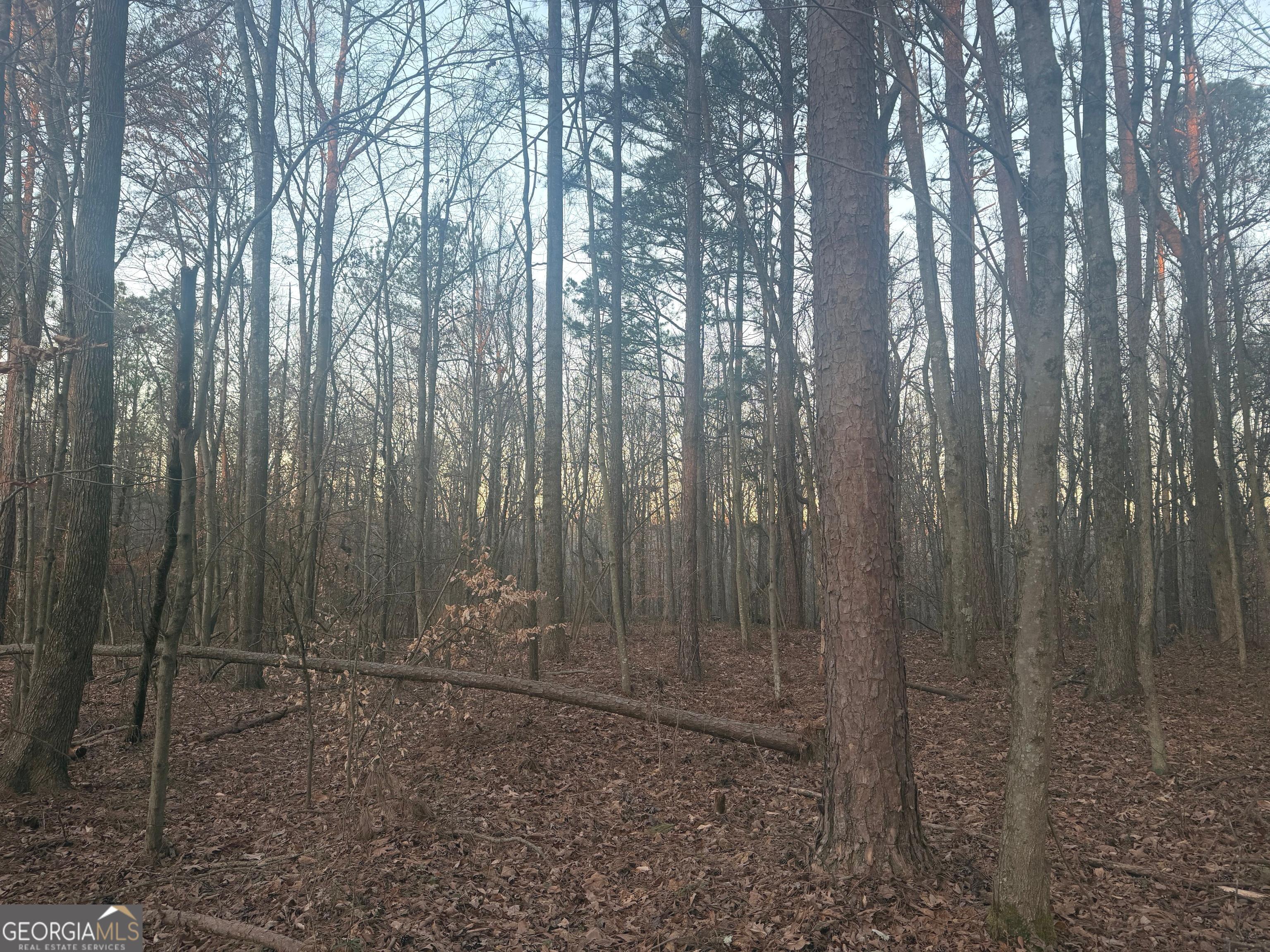 692 Hillcrest Road Bowdon, GA 30108 - Photo 9 of 23