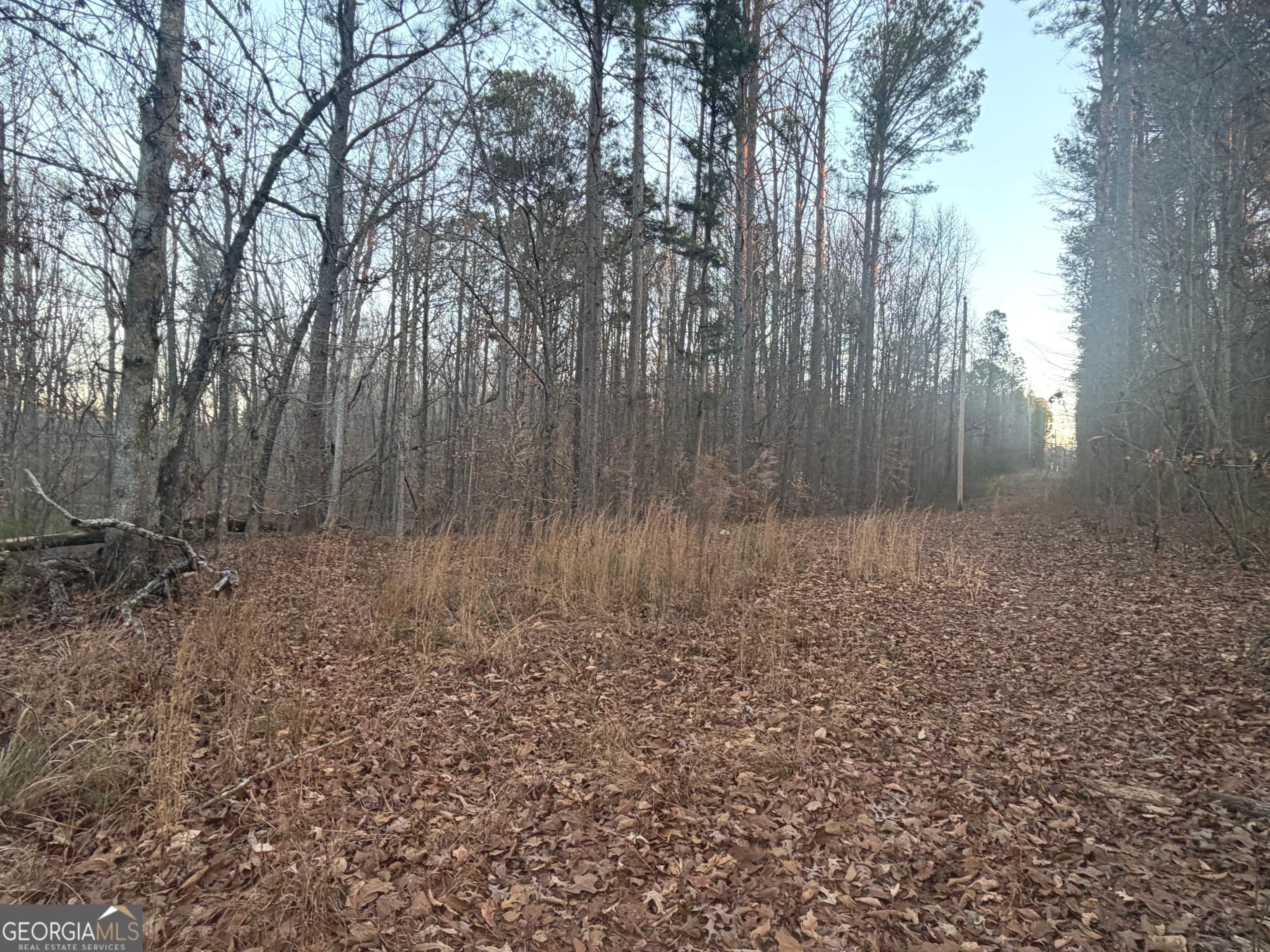 692 Hillcrest Road Bowdon, GA 30108 - Photo 10 of 23