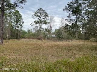 3320 Lannie Road Jacksonville, FL 32218 - Photo 3 of 4 Cleared 1 Acre Lot