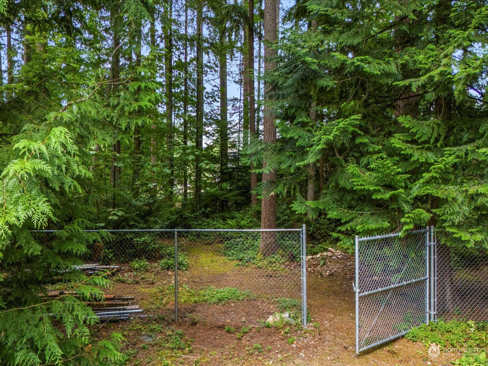 22211 49th Avenue Southeast Bothell, WA 98021 - Photo 30 of 37 a backyard of a house with lots of green space and lake view