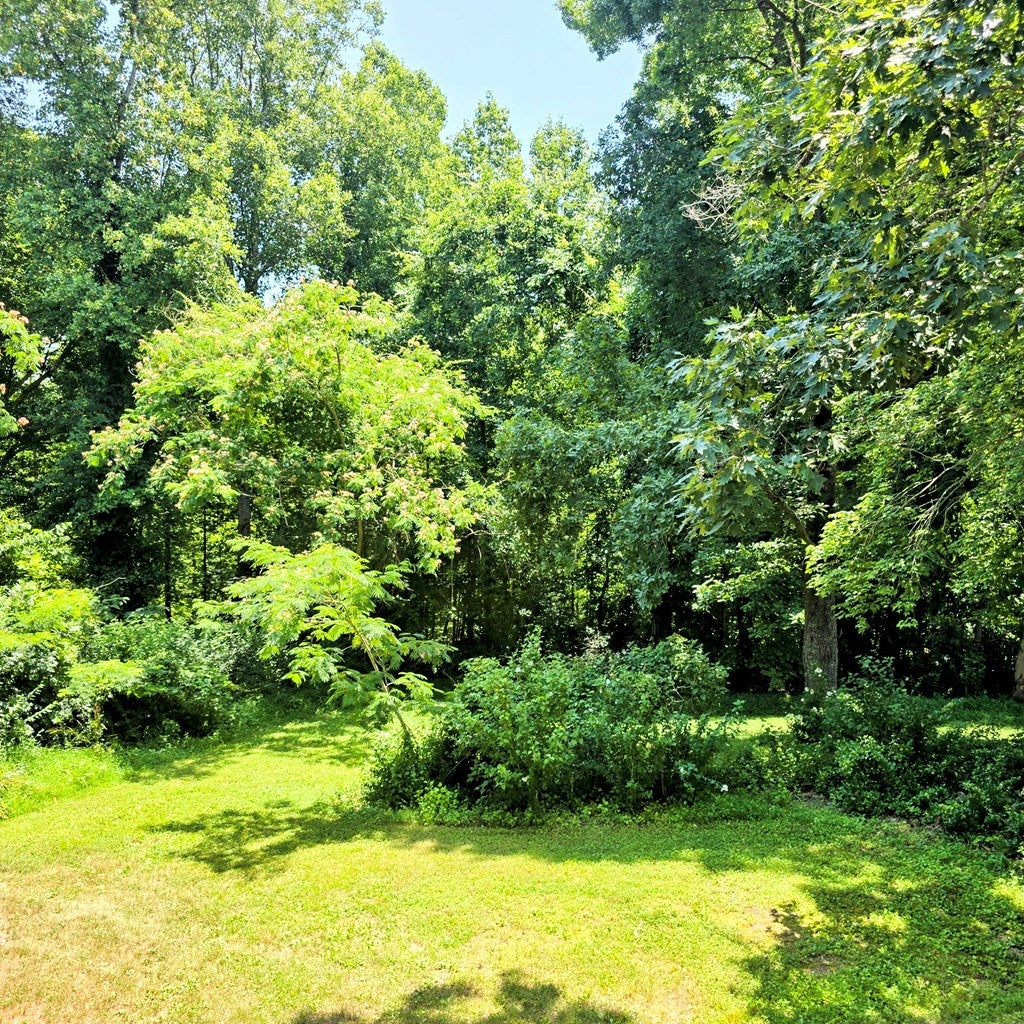 1266 Overton Road Victoria, VA 23974 - Photo 33 of 43 Gallery Image 33
