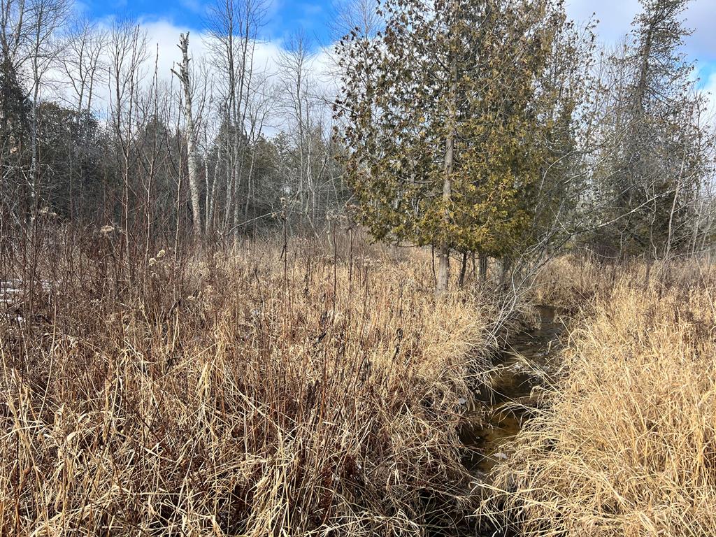 Lake Forest Park Road Sturgeon Bay, WI 54235 - Photo 1 of 8