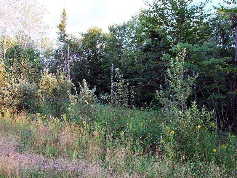 56-60 Thompson Settlement Road Oakfield, ME 04763 - Photo 31 of 35 Land.