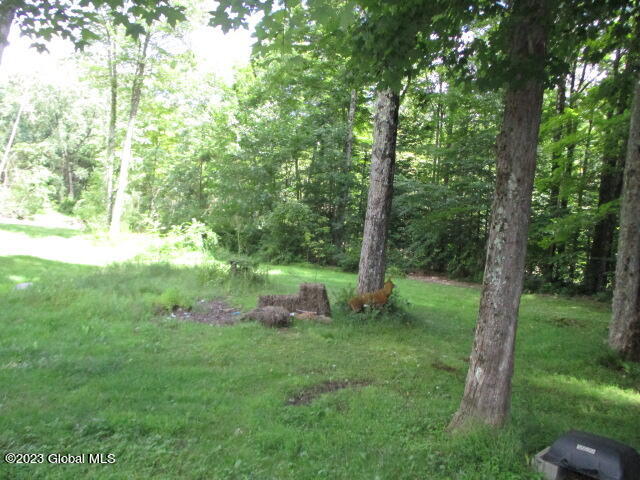 434 Selfridge Road Moreau, NY 12831 - Photo 5 of 5 IMG_4861