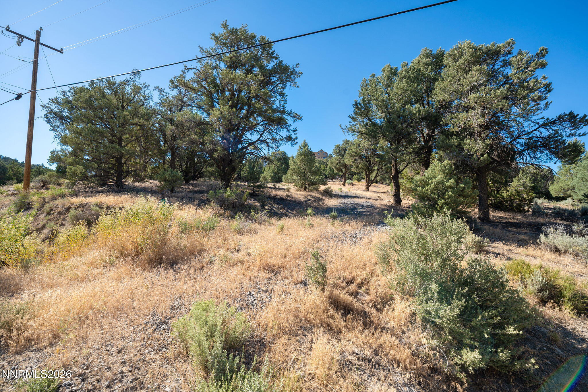 21630 Sazarac Road Reno, NV 89521 - Photo 20 of 21 3-web-or-mls-A7402371