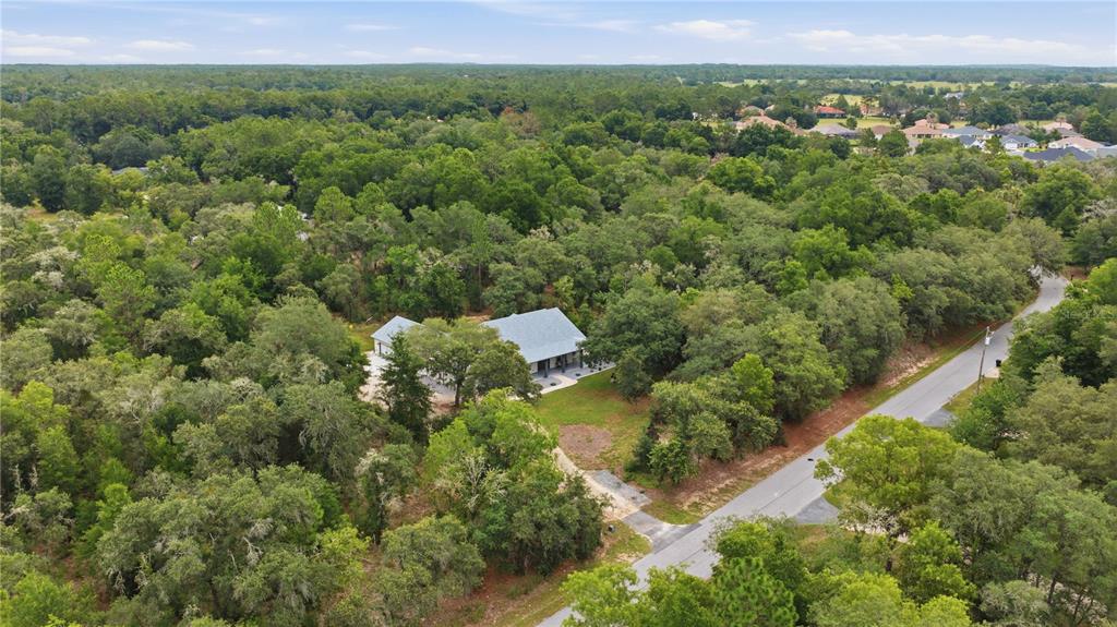 18272 Southwest 65th Loop Dunnellon, FL 34432 - Photo 6 of 70