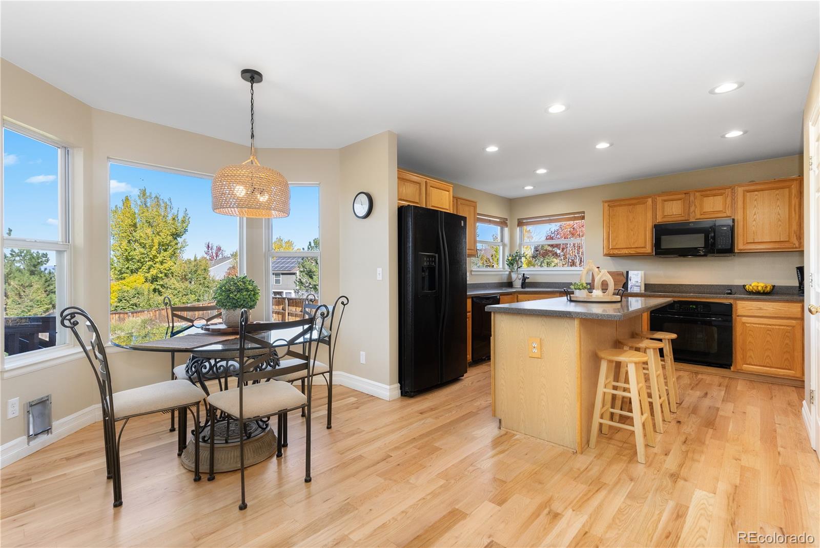 10015 Hughes Place Highlands Ranch, CO 80126 - Photo 4 of 42