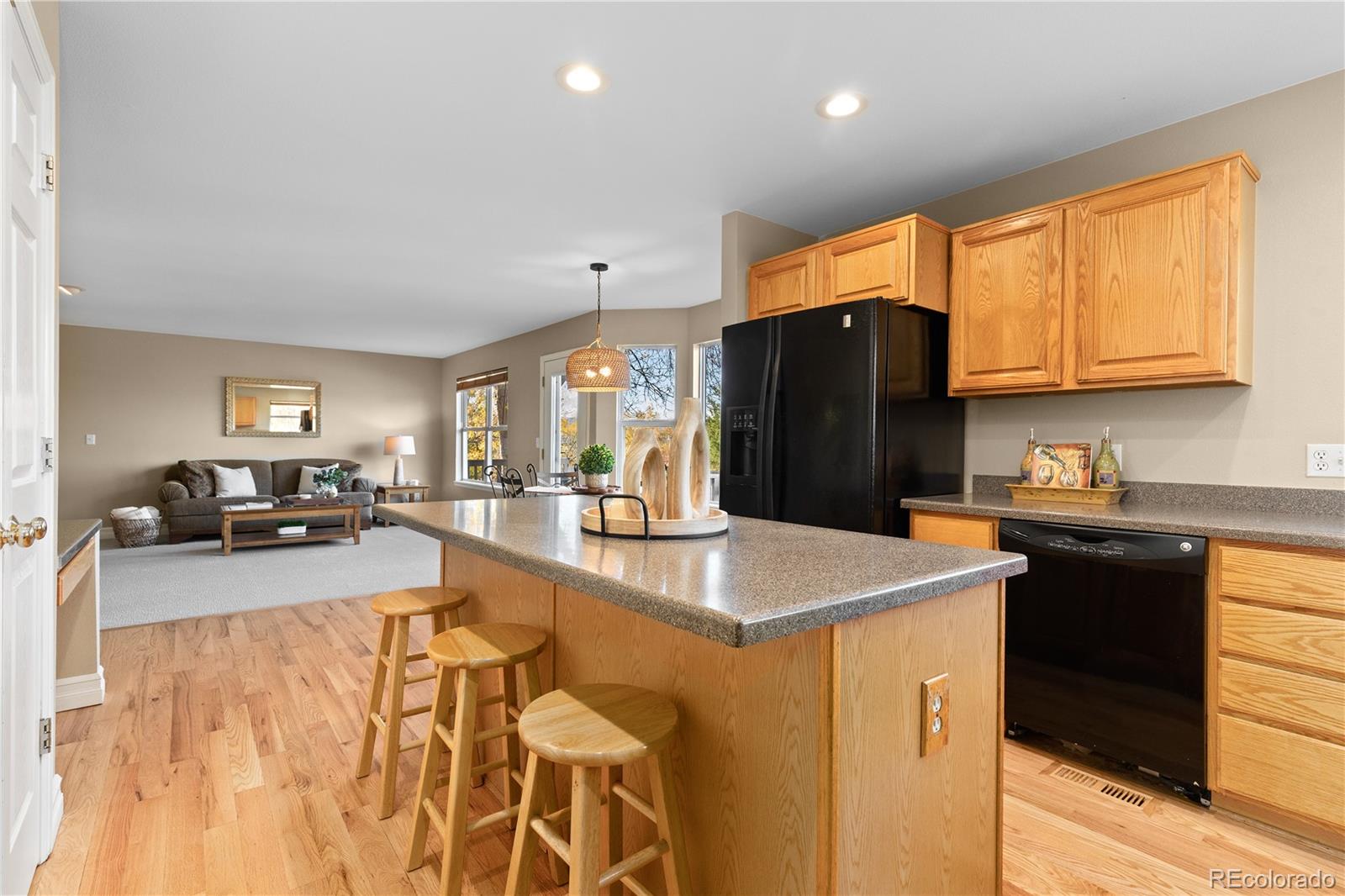 10015 Hughes Place Highlands Ranch, CO 80126 - Photo 7 of 42