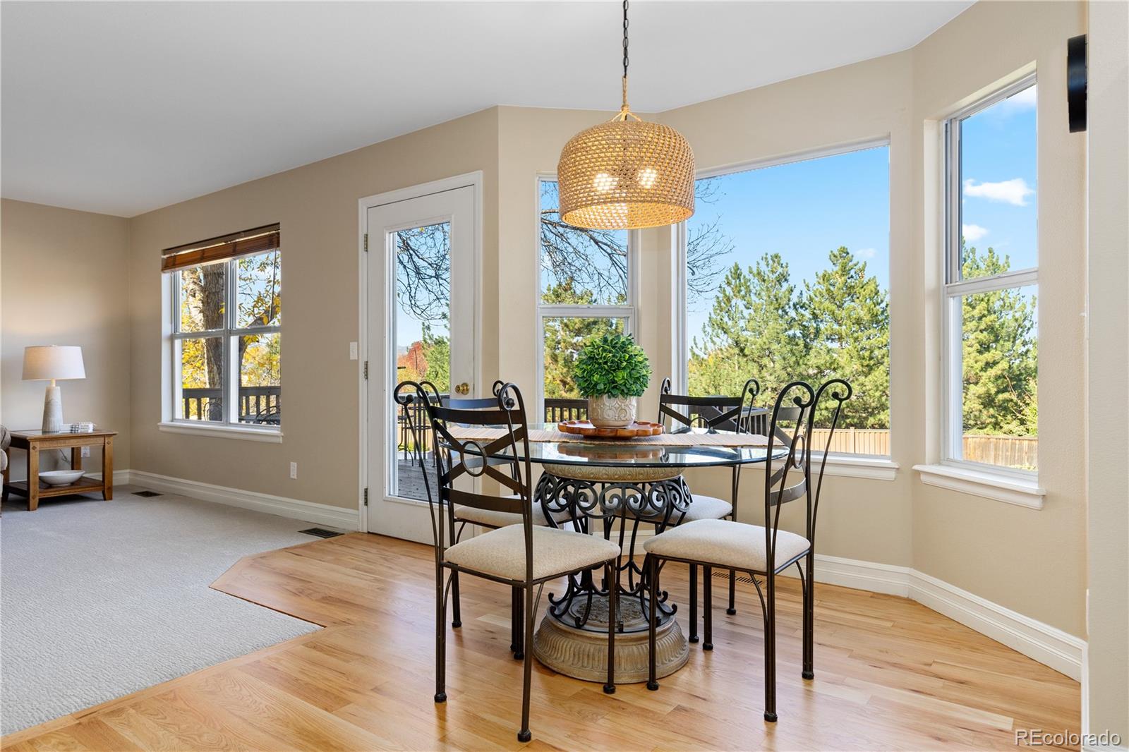 10015 Hughes Place Highlands Ranch, CO 80126 - Photo 8 of 42