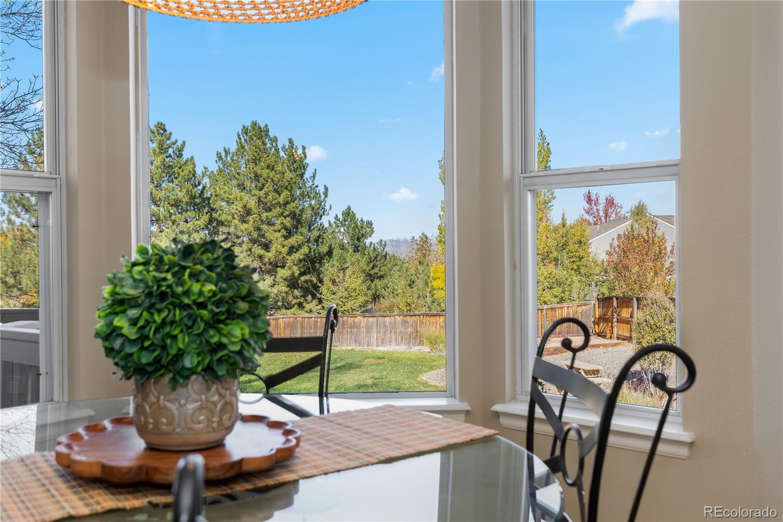 10015 Hughes Place Highlands Ranch, CO 80126 - Photo 9 of 42