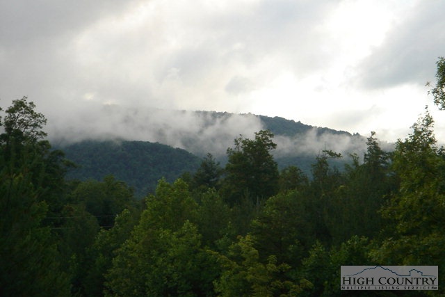 6535 Summit Road Purlear, NC 28665 - Photo 3 of 25 Gallery Image 3