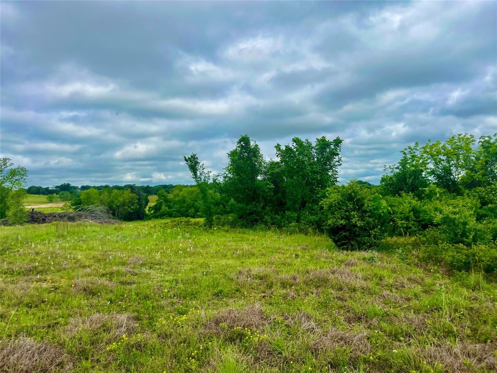 Lot 8 Clare Road Poolville, TX 76487 - Photo 3 of 4 View of nature