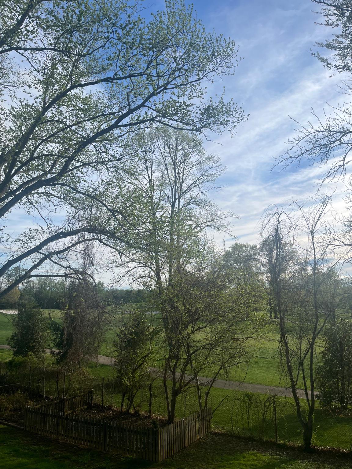 304 Old Courthouse Road Northeast Vienna, VA 22180 - Photo 1 of 25 Golf course views from 3 levels, Fenced backyard