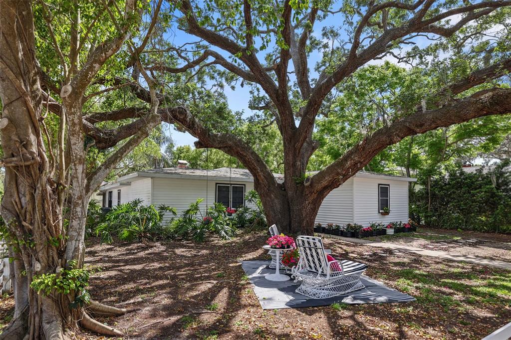 559 Scotland Street Dunedin, FL 34698 - Photo 57 of 66