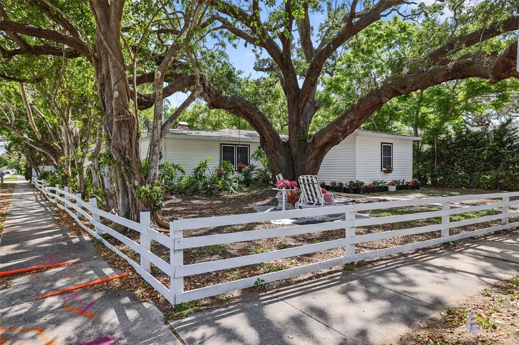 559 Scotland Street Dunedin, FL 34698 - Photo 59 of 66