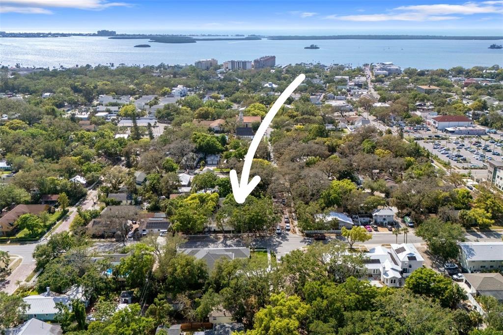 559 Scotland Street Dunedin, FL 34698 - Photo 63 of 66