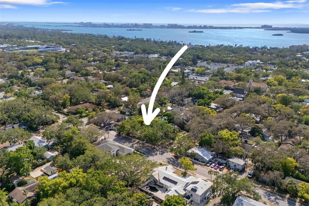 559 Scotland Street Dunedin, FL 34698 - Photo 64 of 66