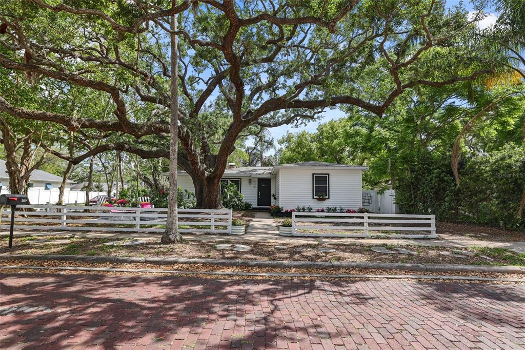 559 Scotland Street Dunedin, FL 34698 - Photo 65 of 66