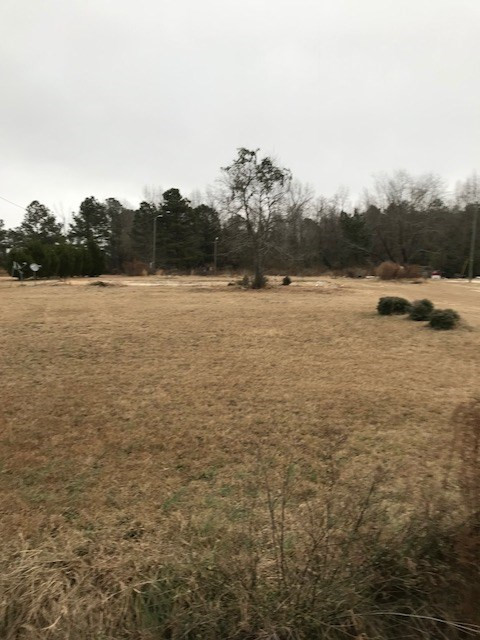 540 Chaney Grove Road Timmonsville, SC 29161 - Photo 1 of 1 Gallery Image 1