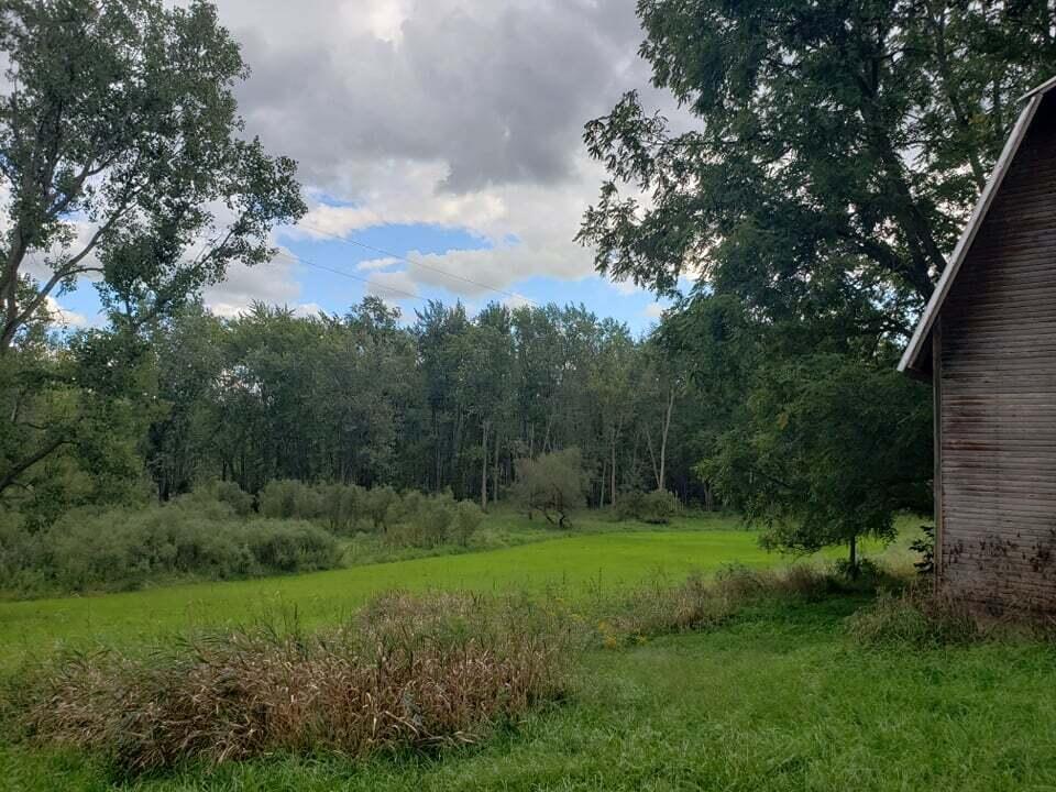 11500 Jessup Road Muir, MI 48860 - Photo 19 of 21 241282412_887343815321982_28968766744128