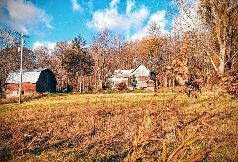 11500 Jessup Road Muir, MI 48860 - Photo 2 of 21 back veiw