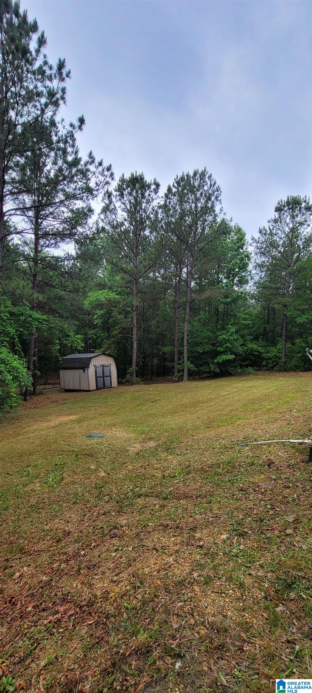 234 Roberts Road Ashville, AL 35953 - Photo 12 of 14