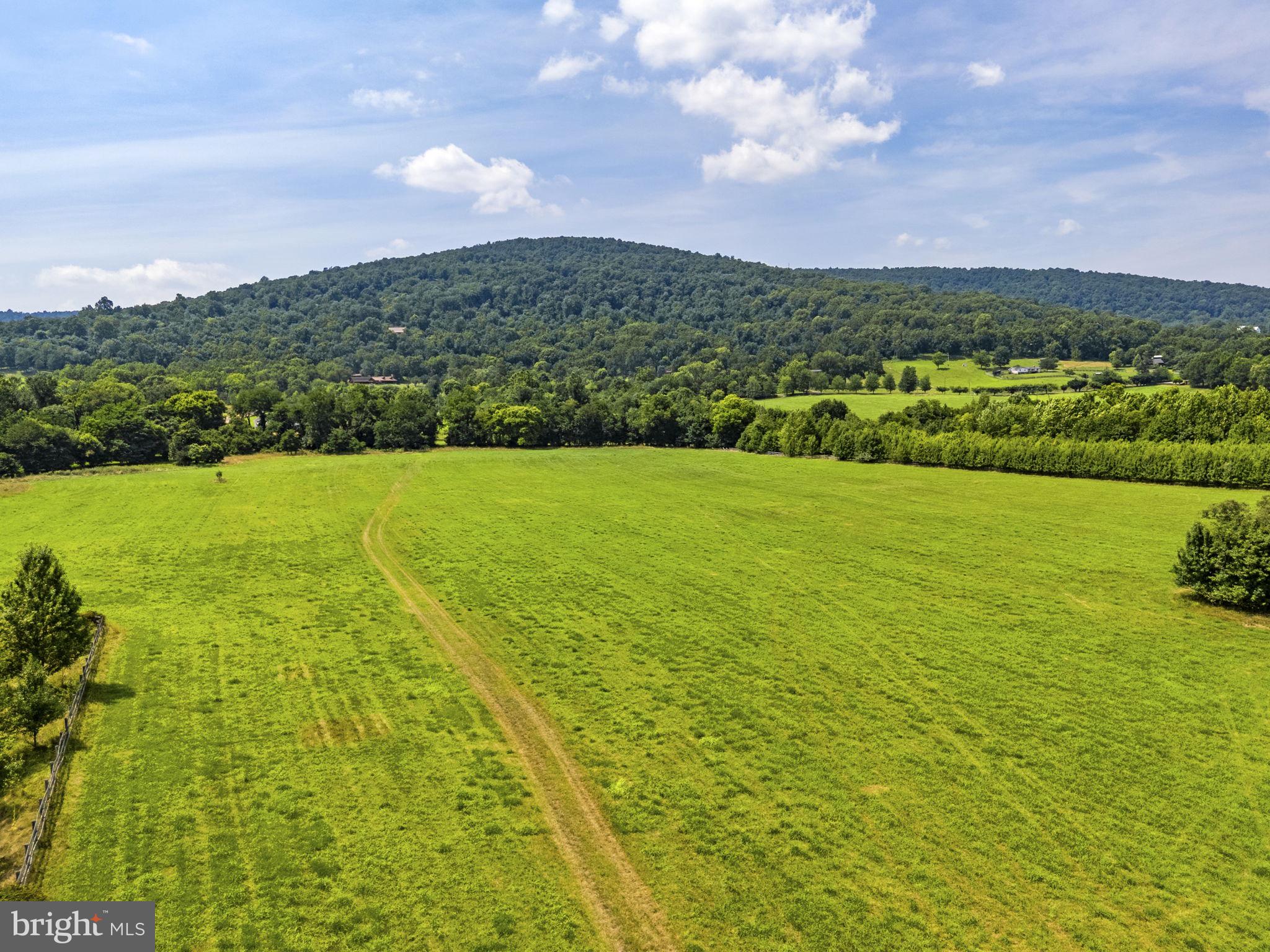 0 Austin Grove Road Bluemont, VA 20135 - Photo 2 of 43 Gallery Image 2