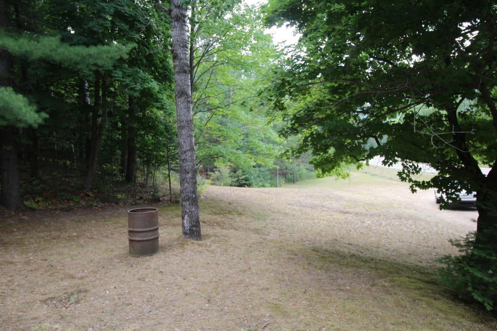 6271 Rondo Road Wolverine, MI 49799 - Photo 3 of 16 Gallery Image 3