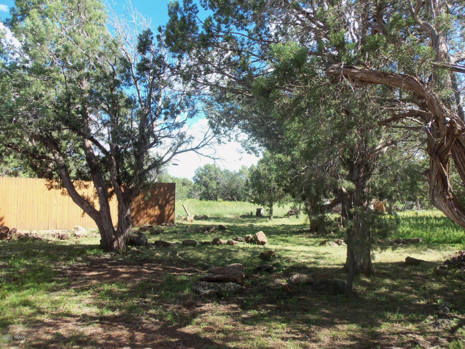 7933 Christmas Tree Road Show Low, AZ 85901 - Photo 19 of 28