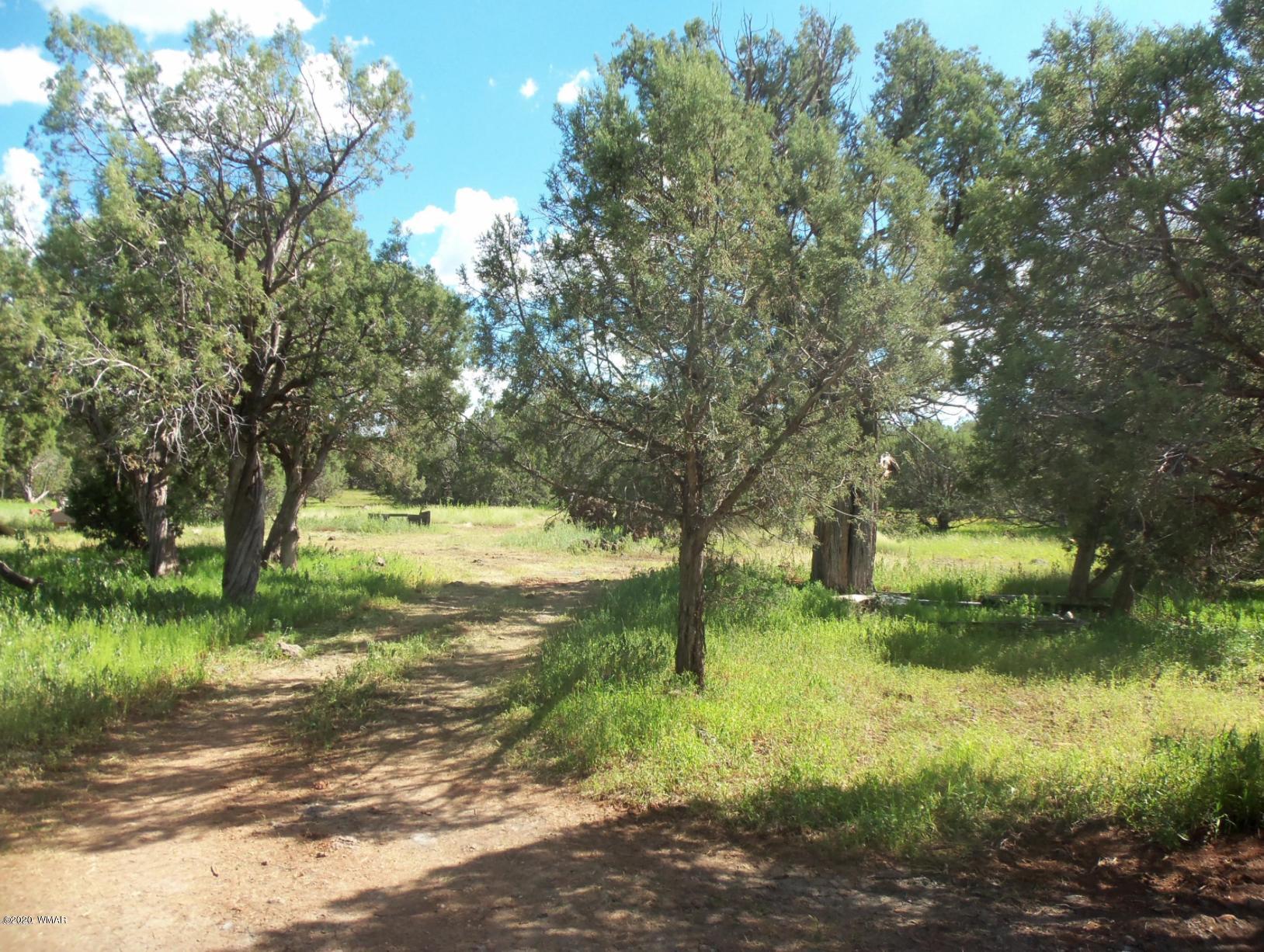 7933 Christmas Tree Road Show Low, AZ 85901 - Photo 20 of 28