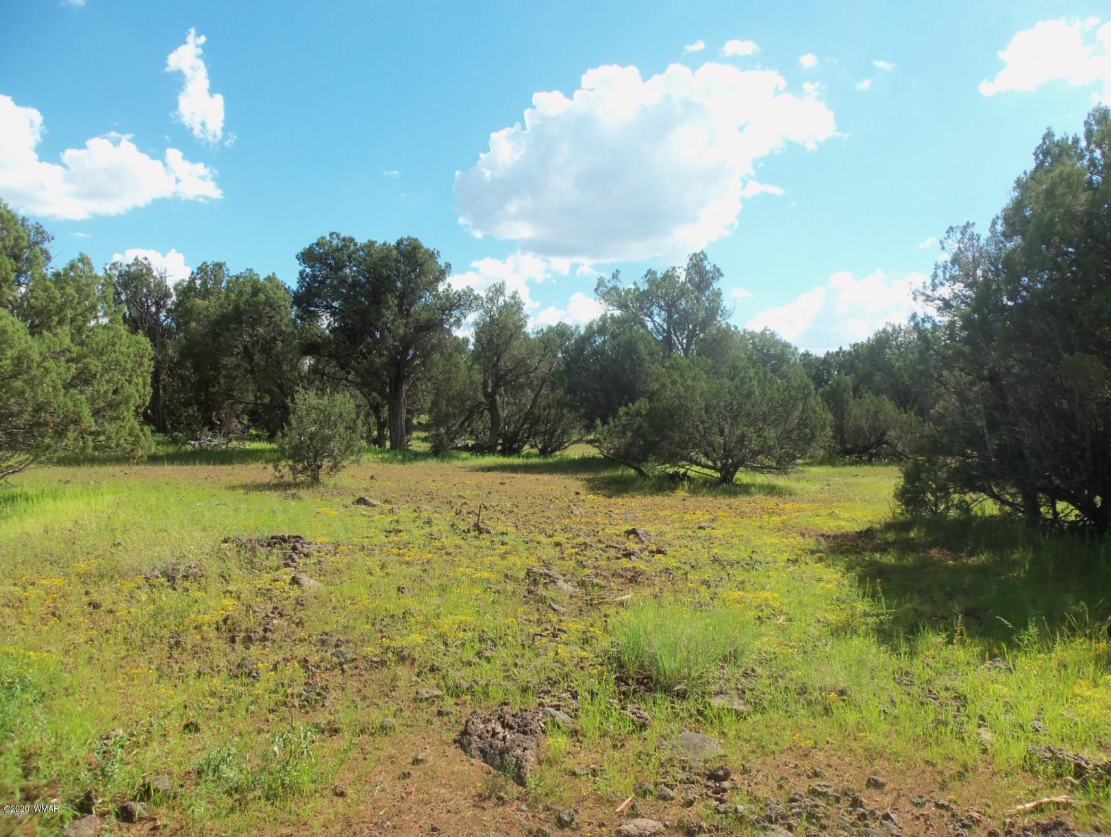 7933 Christmas Tree Road Show Low, AZ 85901 - Photo 21 of 28