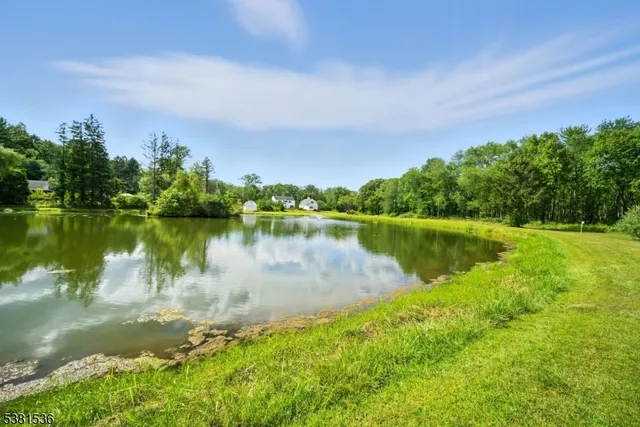 a view of a lake with houses in the back