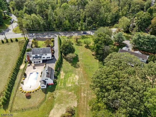 an aerial view of residential houses with outdoor space and trees