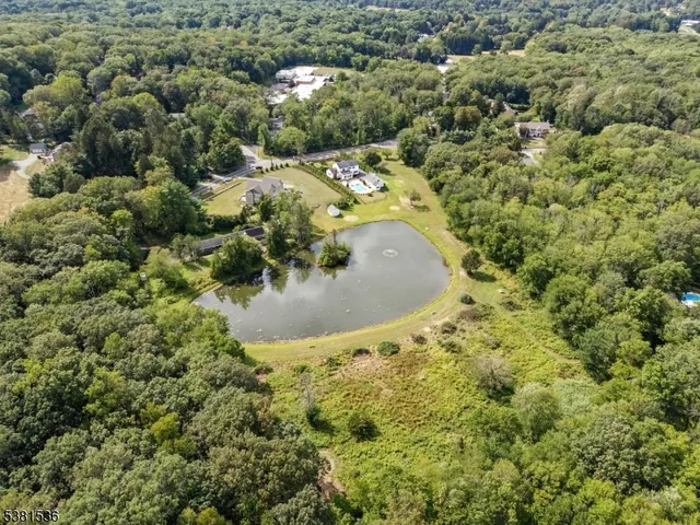 a view of a houses with a forest