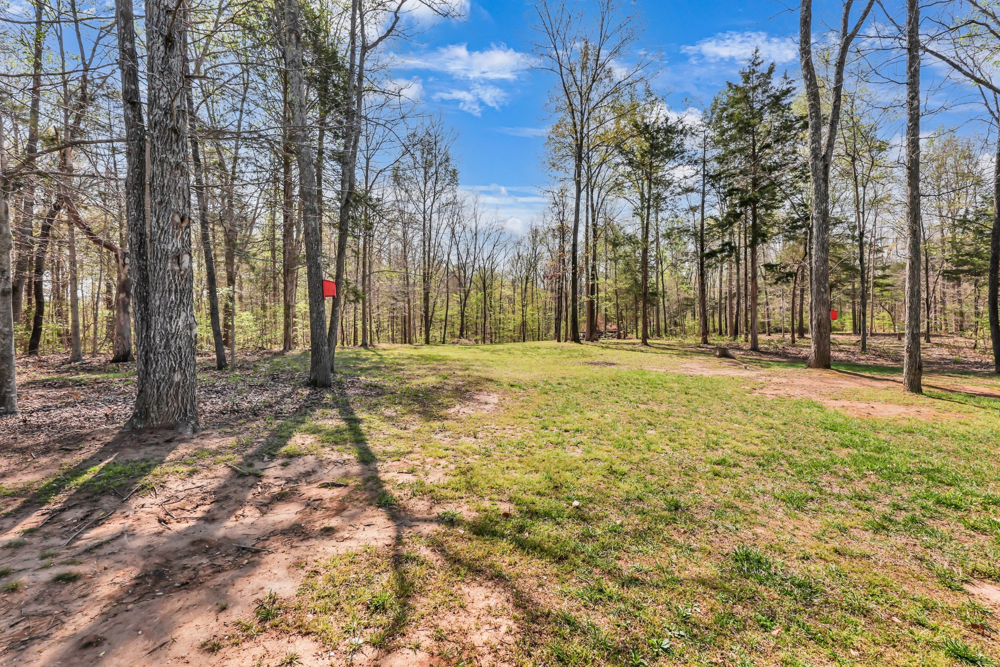 573 Swift Lane Southside, TN 37171 - Photo 66 of 96