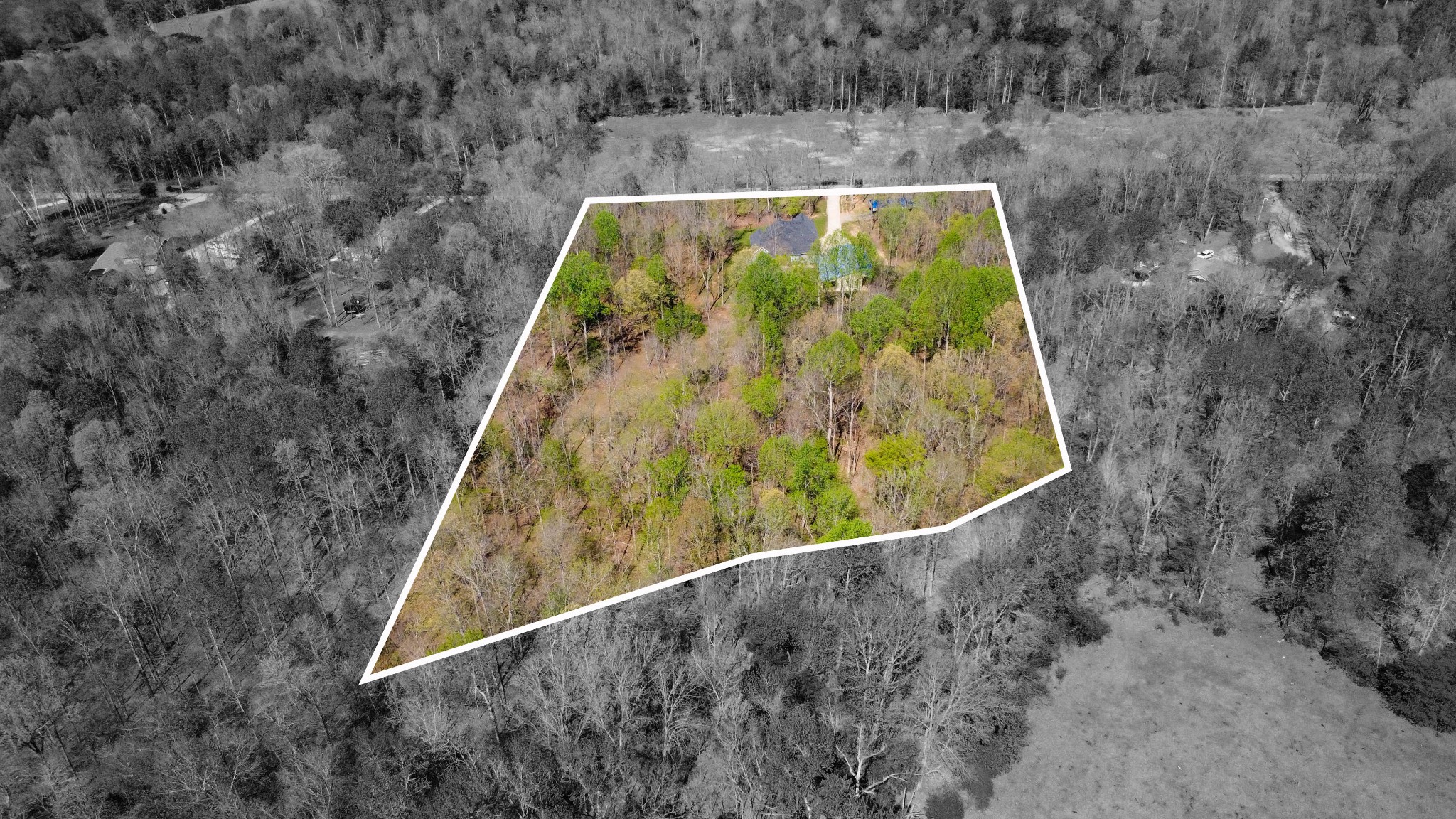 573 Swift Lane Southside, TN 37171 - Photo 74 of 96