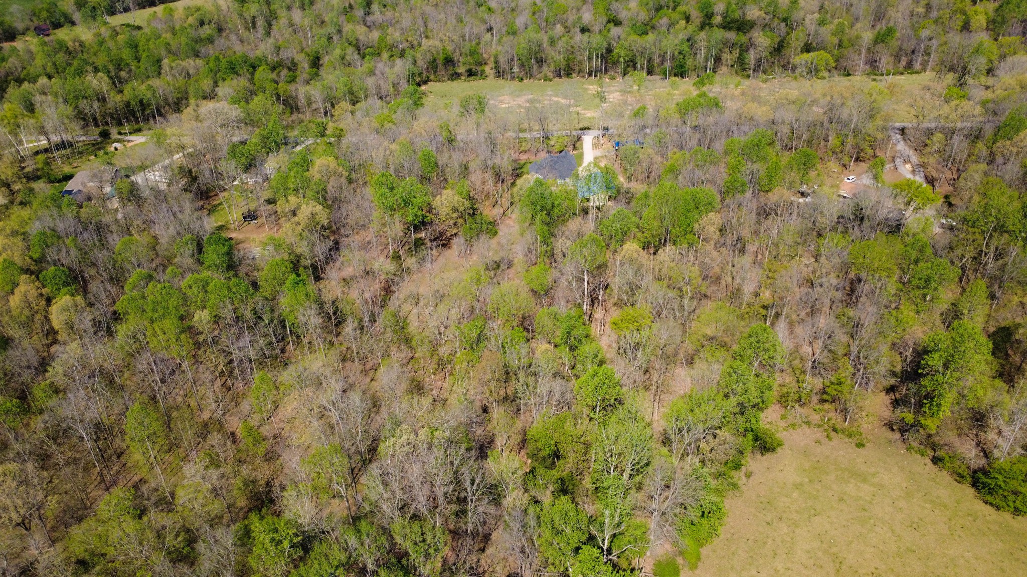 573 Swift Lane Southside, TN 37171 - Photo 75 of 96