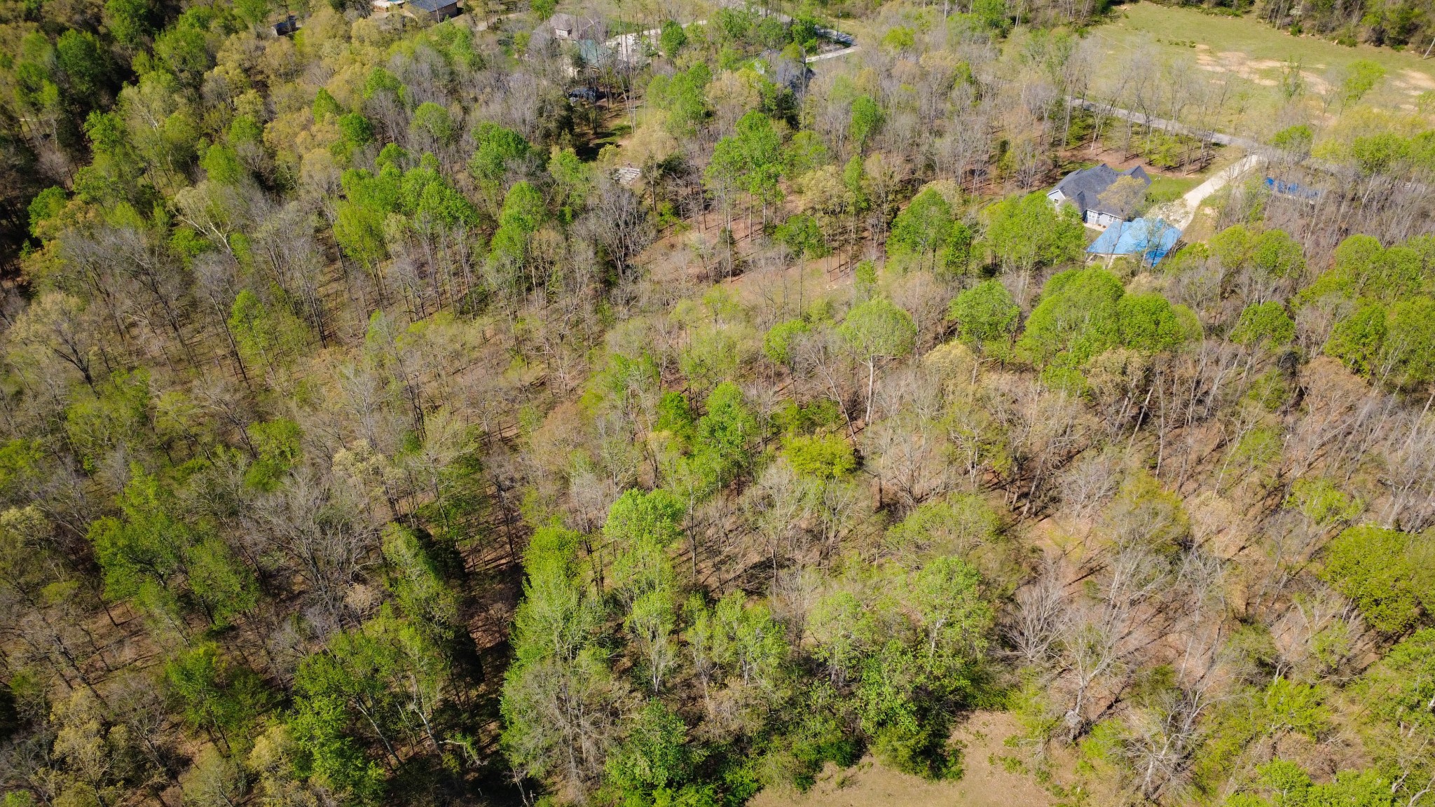573 Swift Lane Southside, TN 37171 - Photo 86 of 96