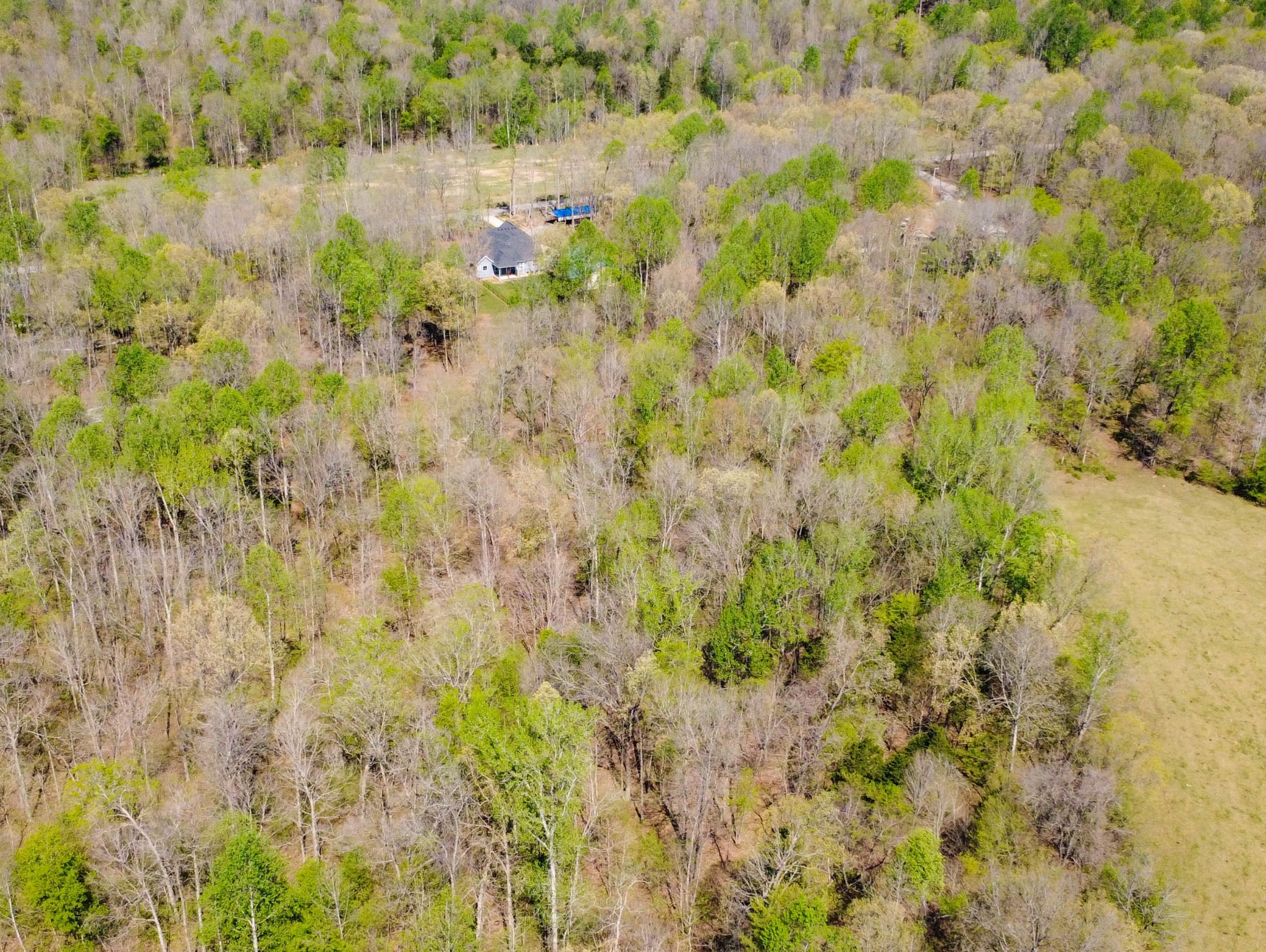 573 Swift Lane Southside, TN 37171 - Photo 87 of 96
