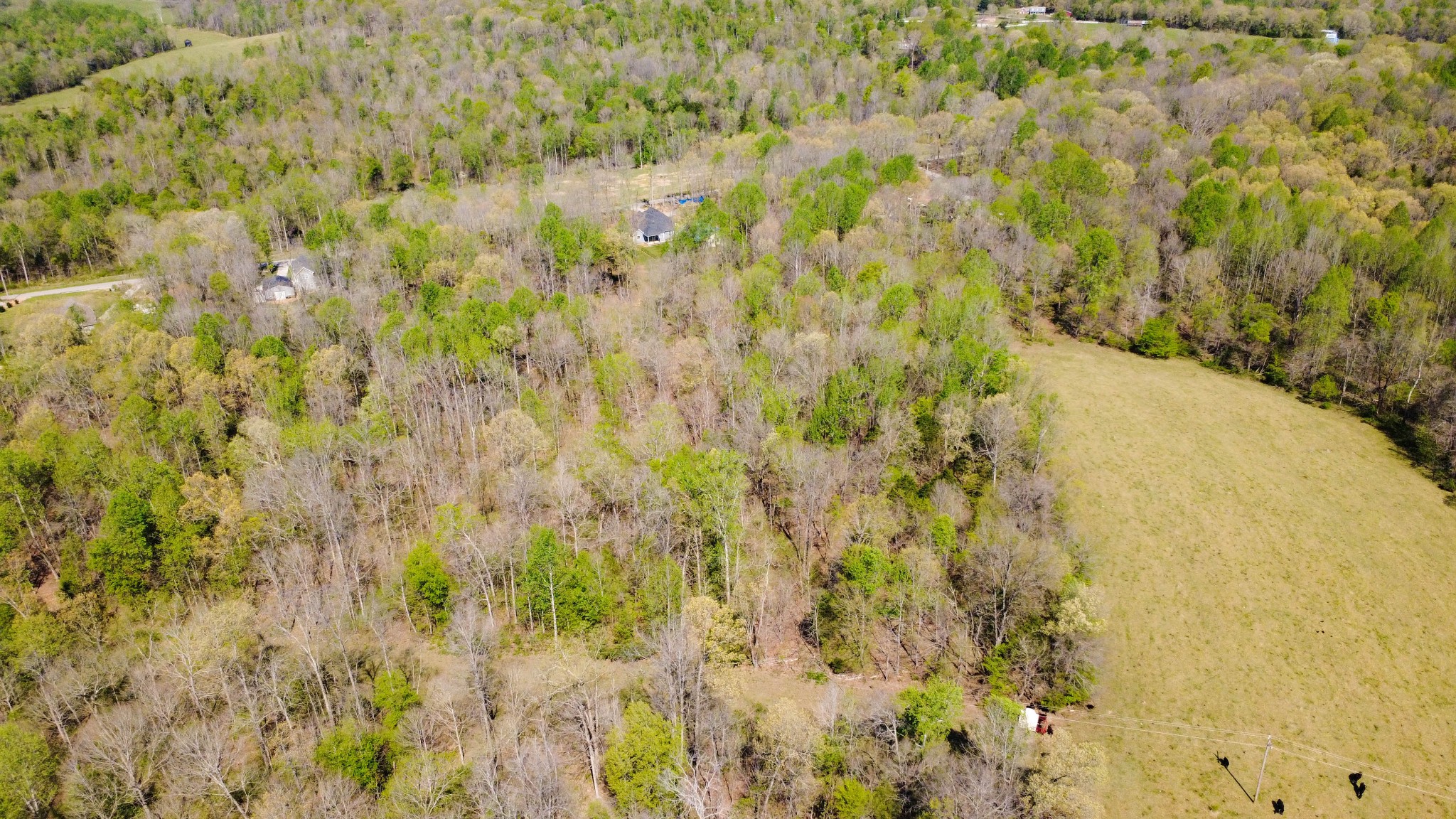 573 Swift Lane Southside, TN 37171 - Photo 88 of 96