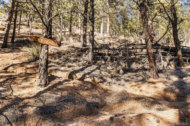 a view of covered with snow