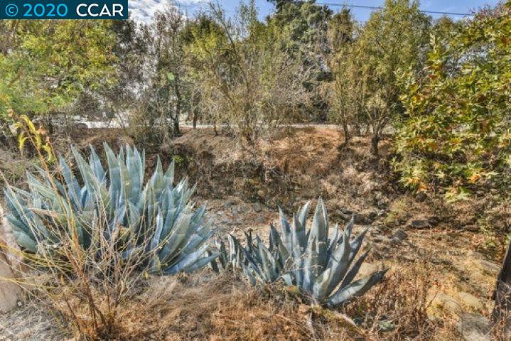 11977 Foothill Road Sunol, CA 94586 - Photo 21 of 24 Gallery Image 21