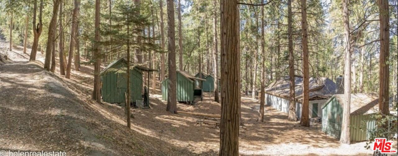 52101 Red Hill Road Idyllwild, CA 92549 - Photo 5 of 8 a view of street