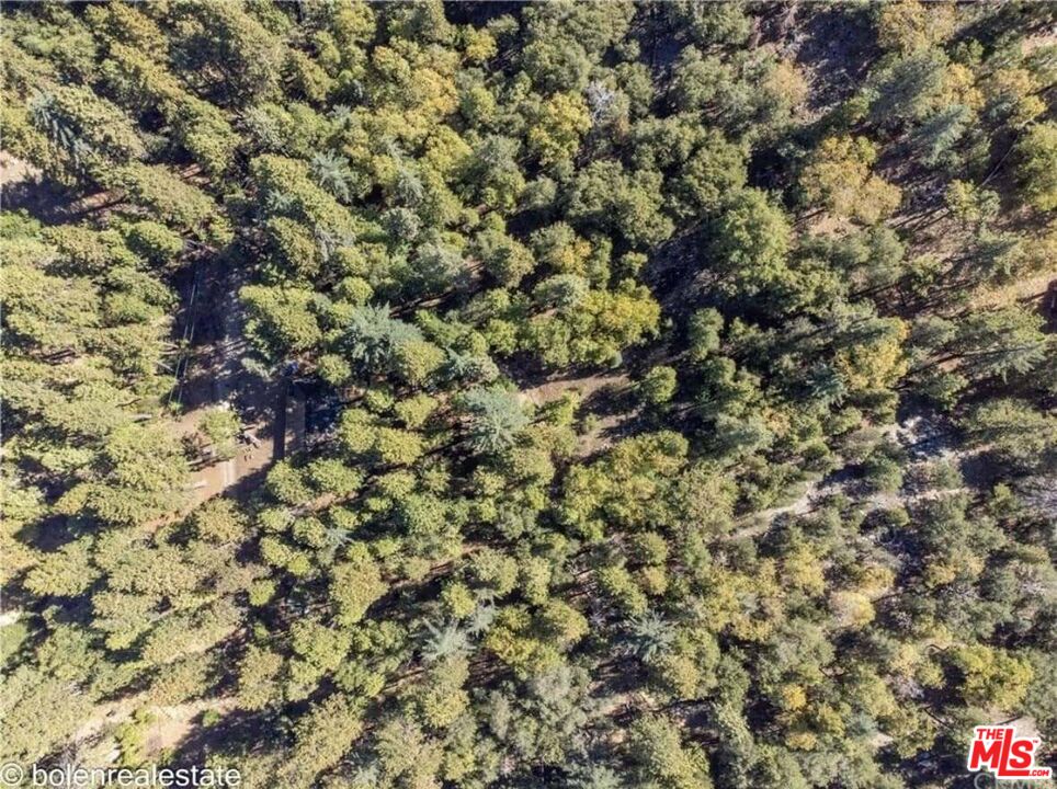 52101 Red Hill Road Idyllwild, CA 92549 - Photo 7 of 8 a view of a tree