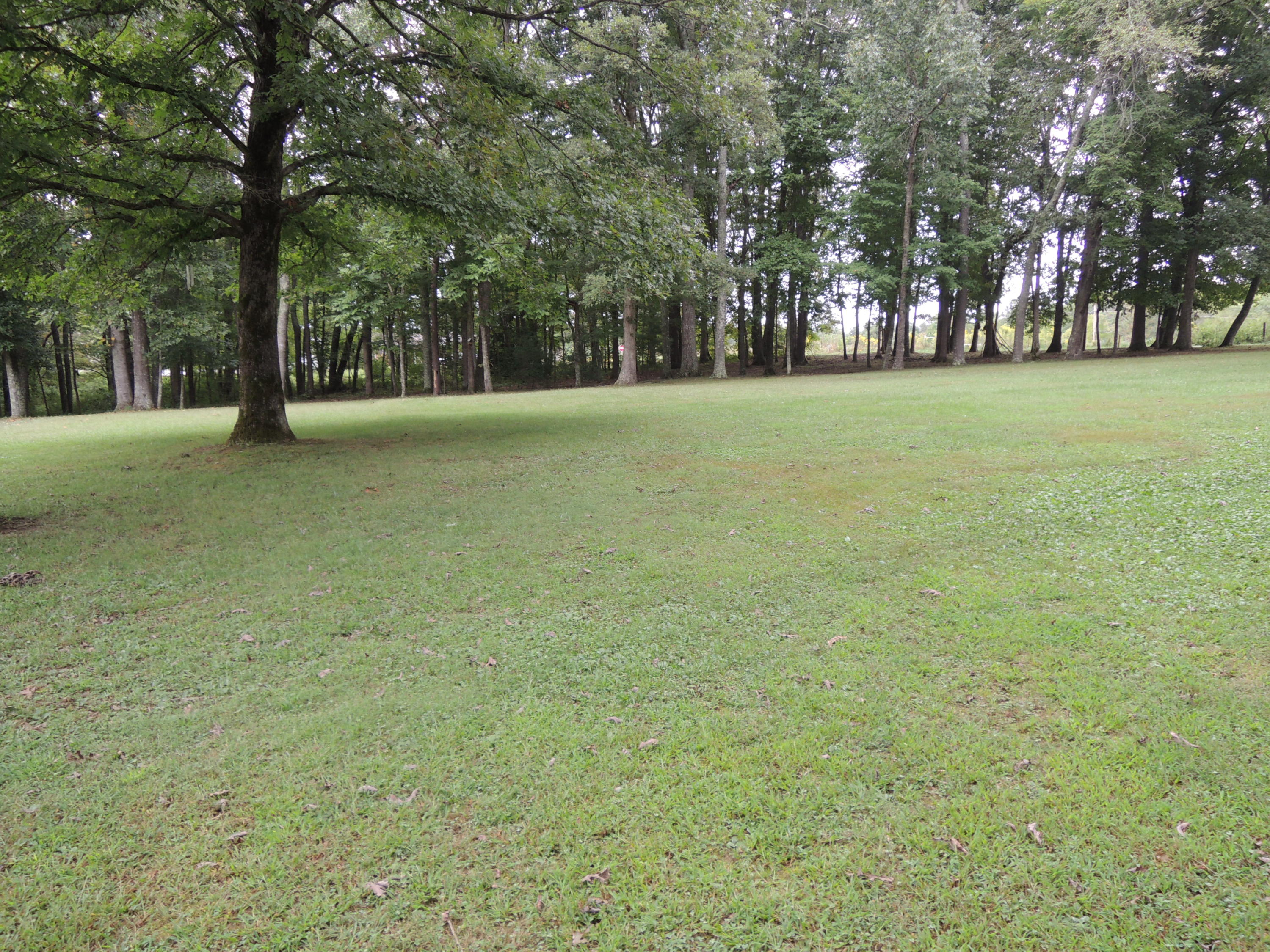 1030 Peters Ford Road Jamestown, TN 38556 - Photo 7 of 17 Dishmon 007