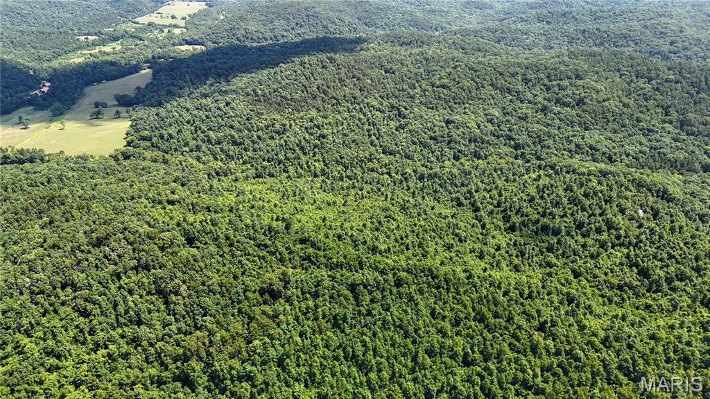 Tbd Tbd Antler Ridge Bunker, MO 63629 - Photo 3 of 26