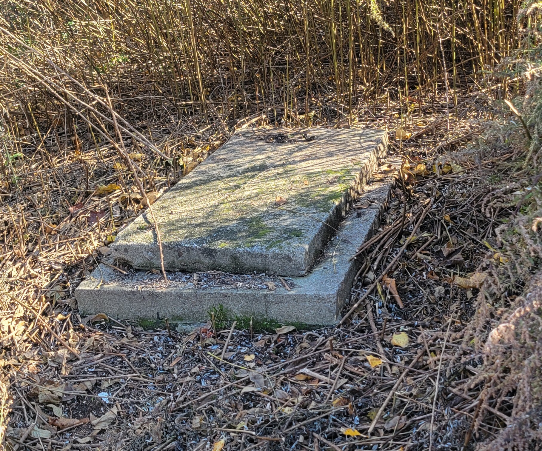 118 Bloomingdale Road Waterford, CT 06375 - Photo 29 of 29